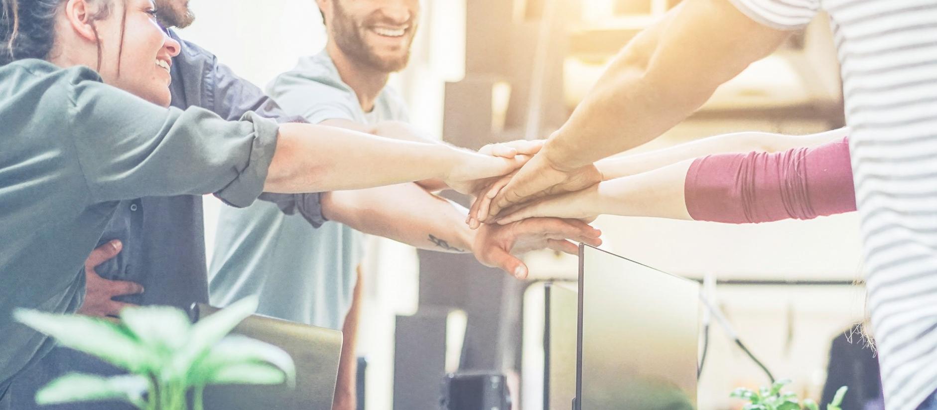 SEO audit process demonstration